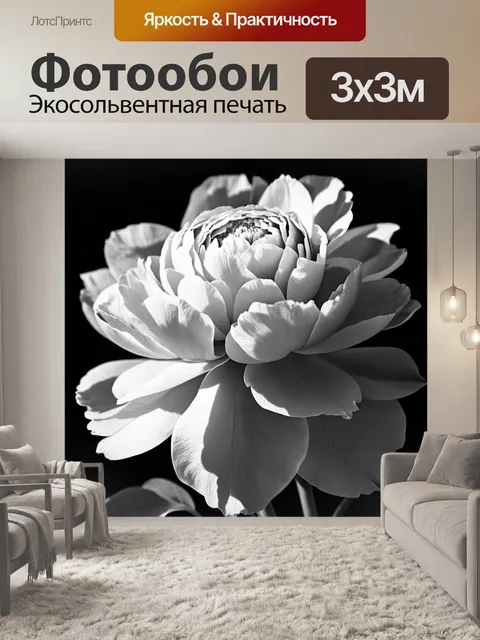 Фотообои пионы в черно-белом стиле