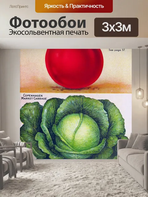 Фотообои Винтажная ботаническая томатная капуста