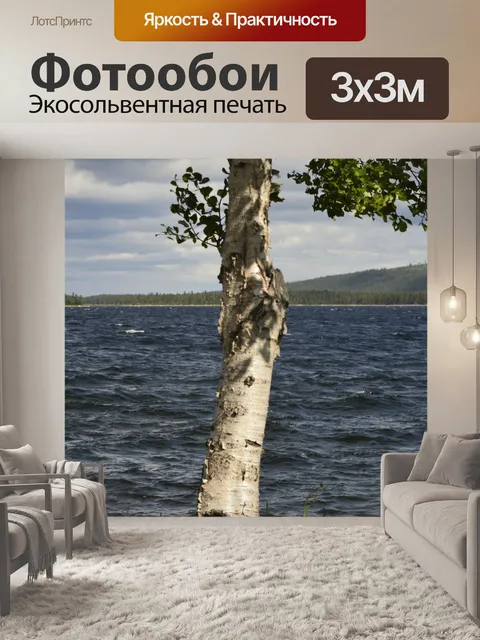 Фотообои Береза