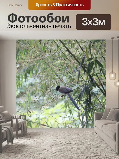 Фотообои Бамбуковый лес