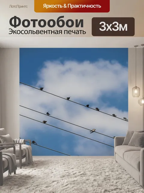 Фотообои Птицы