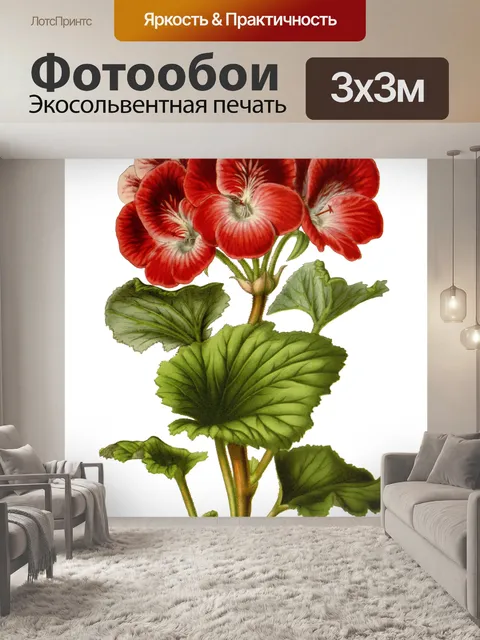 Фотообои Пеларгония Цветок Vintage Art