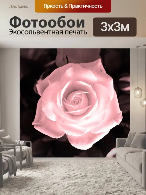 Фотообои Роза