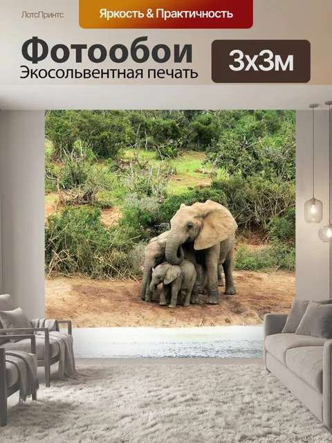 Фотообои Слоны