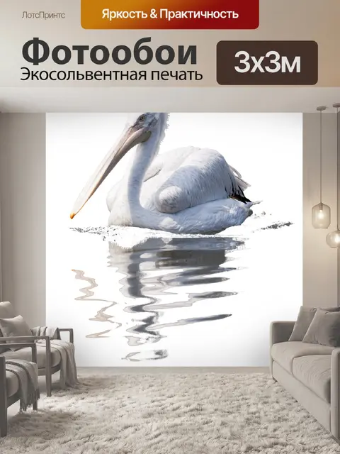 Фотообои Белый пеликан бассейна
