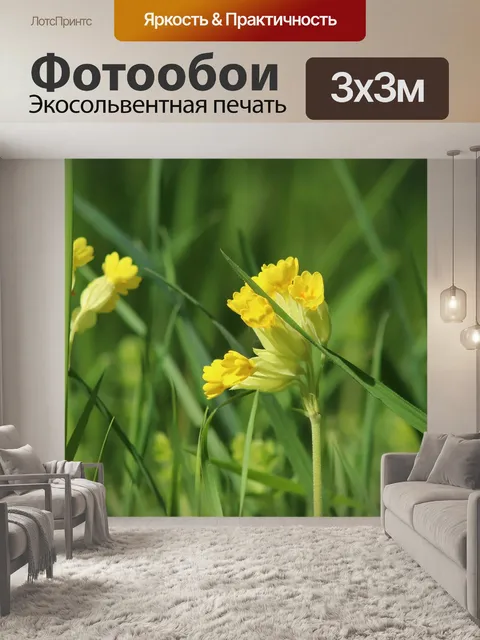 Фотообои Коровник