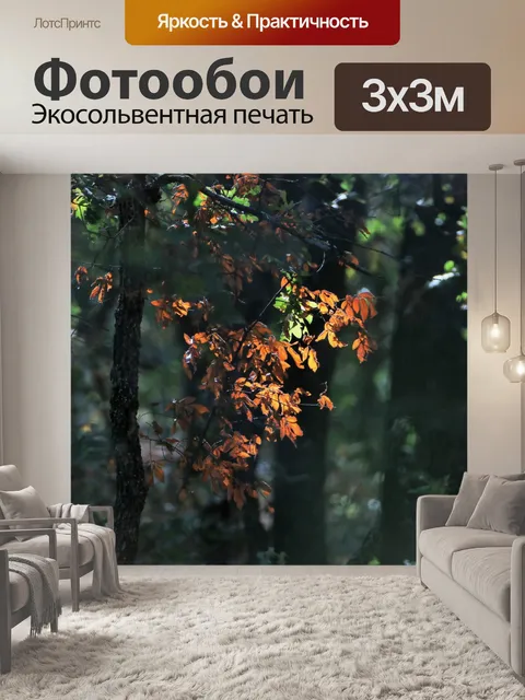 Фотообои Солнечный свет на осенних листьях