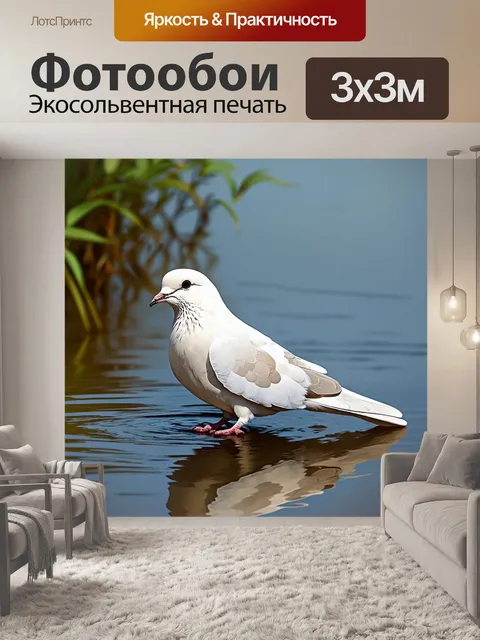 Фотообои белый голубь, сидящий на краю водоемов, где вода идеально отражает его образ