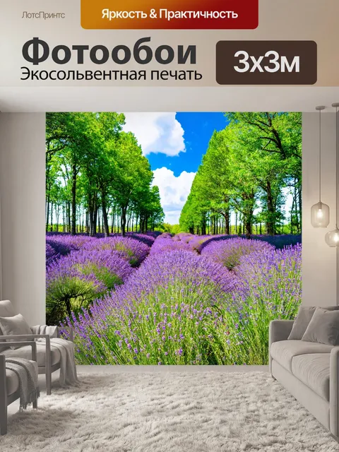 Фотообои лавандовый лес во время цветения