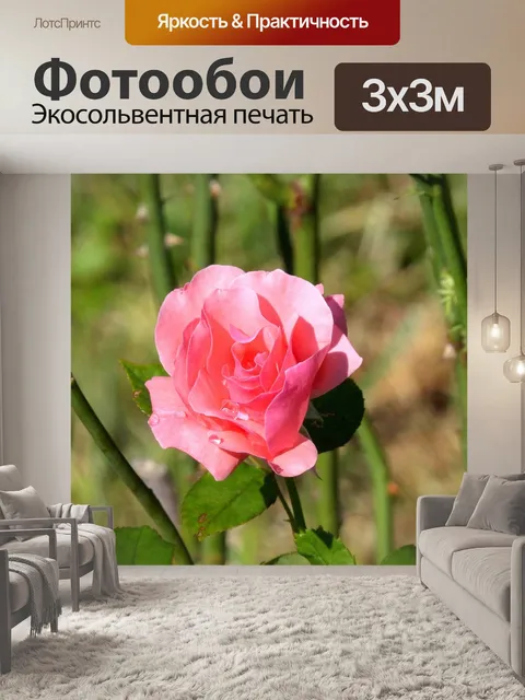 Фотообои Розовый
