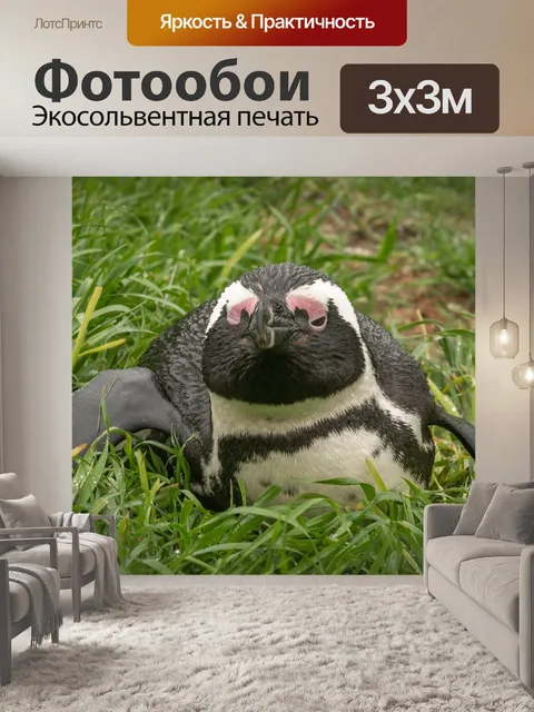 Фотообои Пингвин