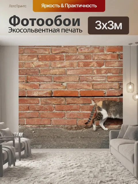 Фотообои Кошка