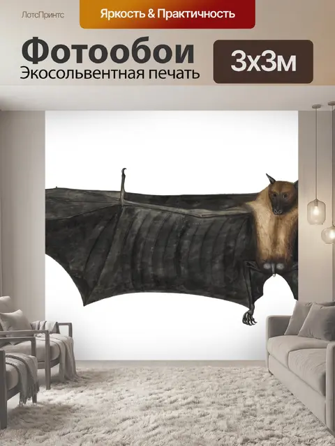 Фотообои Клипарт Bat vintage art