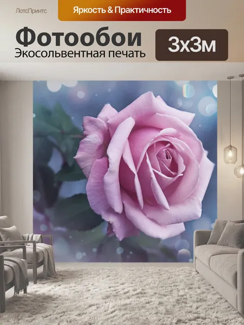 Фотообои Фотография цветка розы