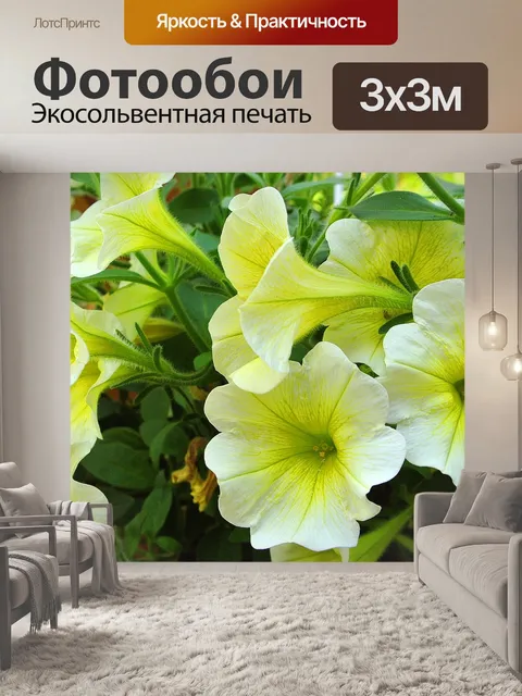 Фотообои Петунии