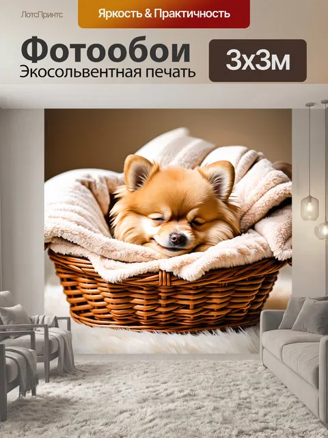 Фотообои милый щенок померанского шпица, мирно спящий в корзине, окруженной мягкими подушками и одеялами