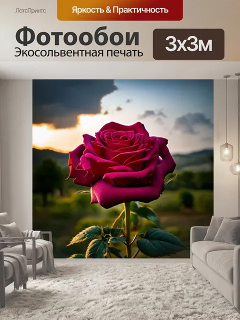 Фотообои розы в стиле кинематографический, контраст света и тени, эффект проходящих облаков, живой пейзаж