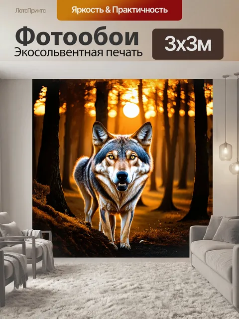 Фотообои великолепный волк, оскаливший свои белоснежные зубы, стоит на краю леса, его густая шерсть переливается на…