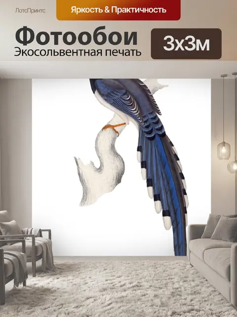 Фотообои Винтаж Тропическое Искусство Птицы