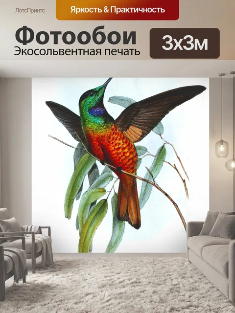Фотообои Колибри птица старинное искусство