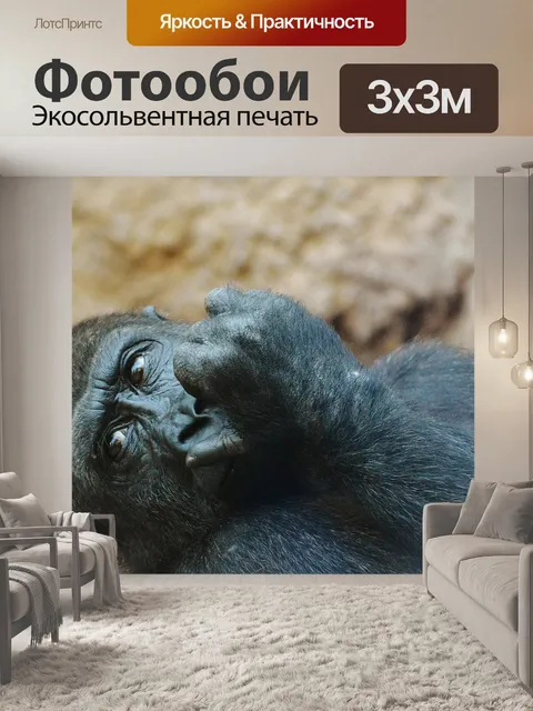 Фотообои Обезьяна