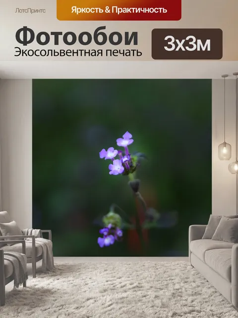 Фотообои Цветок