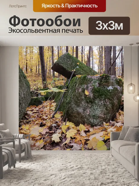 Фотообои Осенние деревья и скалы