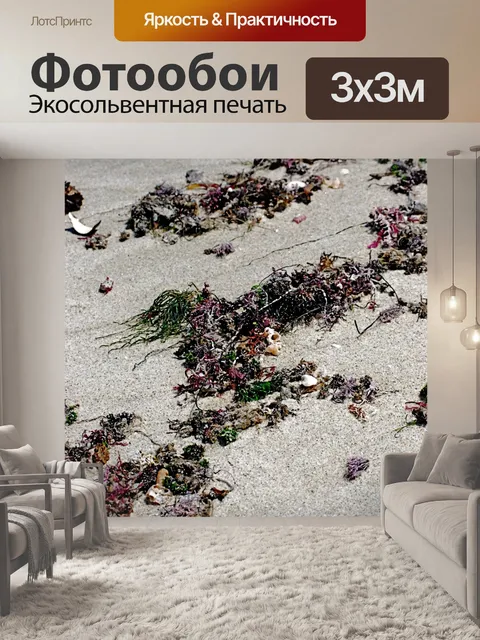 Фотообои Красочный берег