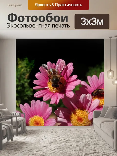 Фотообои Цветы