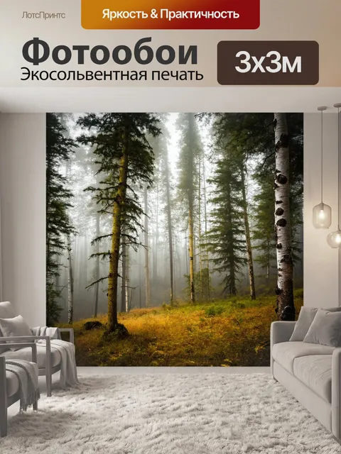 Фотообои утренний туман, пробивающийся сквозь деревья, светлые и темные участки, мягкое освещение, еловые и берёзовые…