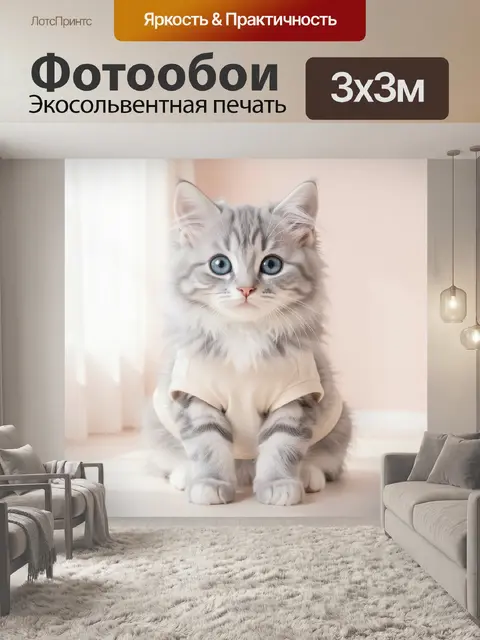 Фотообои Серый котенок в светлой одежде