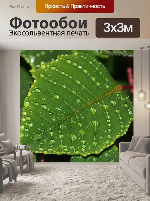Фотообои Листик
