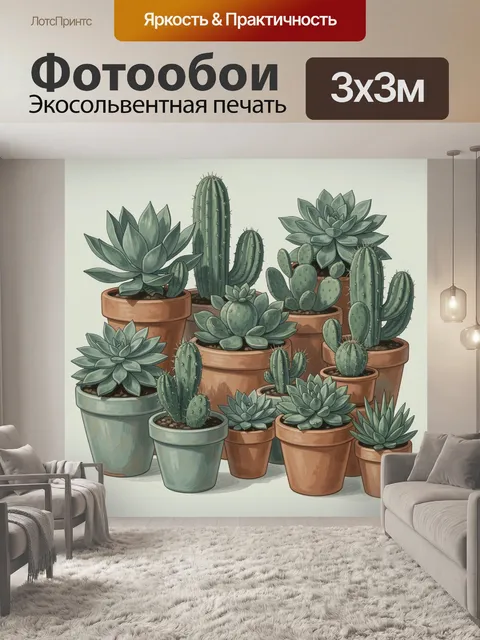 Фотообои Кактусы и суккуленты в горшках