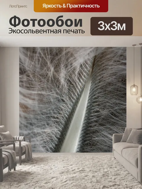 Фотообои Перо