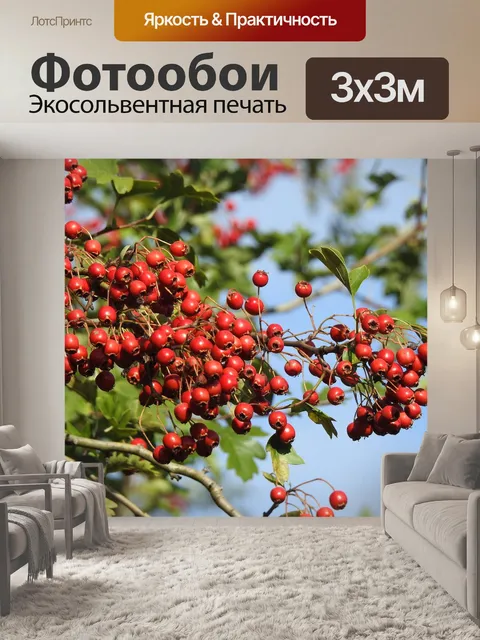 Фотообои Красные ягоды