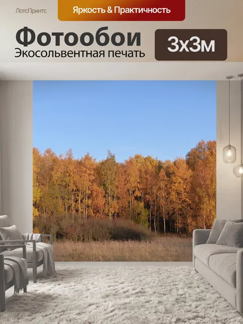 Фотообои Лес