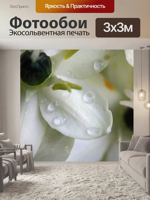 Фотообои капли на белых лепестках цветов