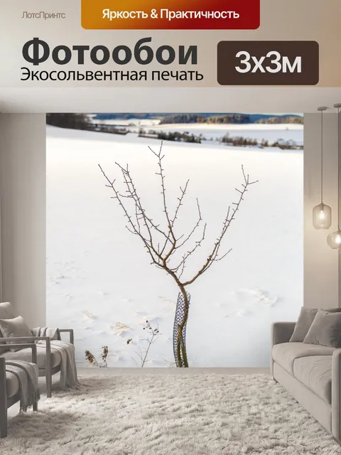 Фотообои голое дерево зимой