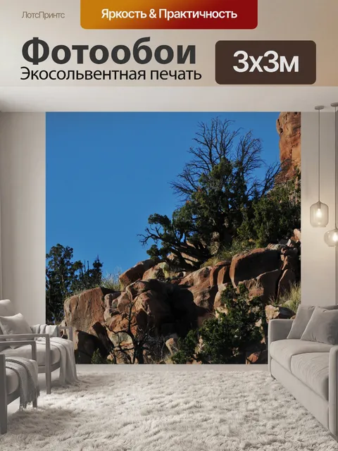 Фотообои Пустыня Скалы и кисти