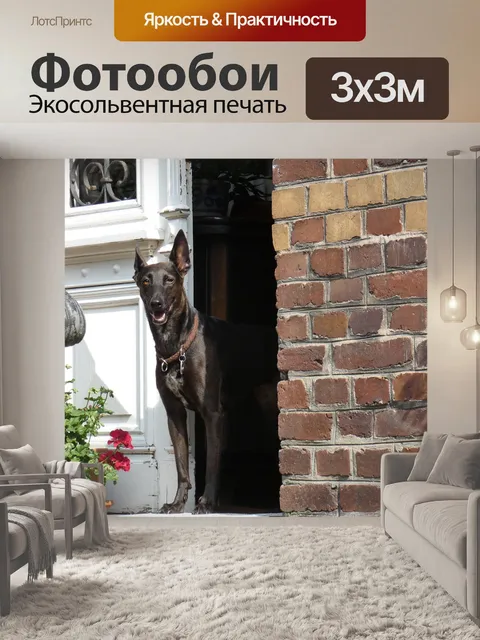 Фотообои Собака