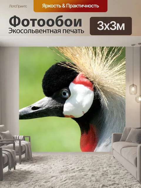Фотообои Венценосный журавль