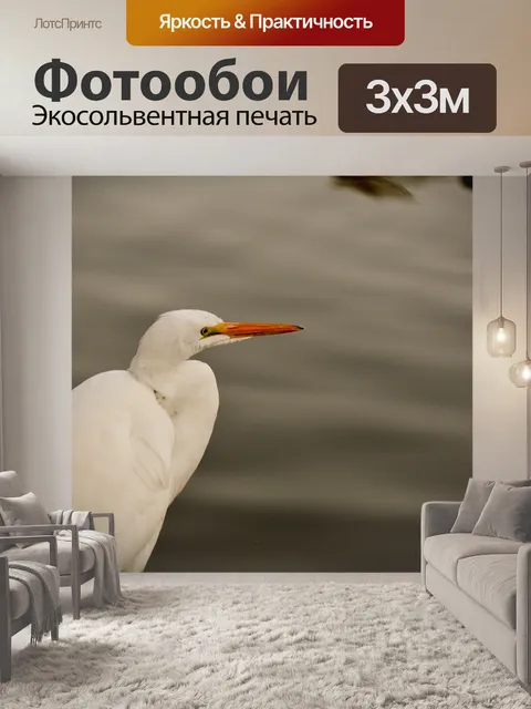 Фотообои Большая белая цапля