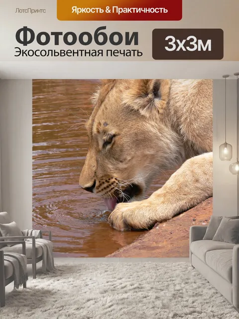 Фотообои Львица питьевой
