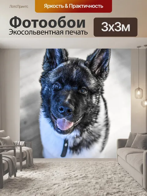 Фотообои Собака