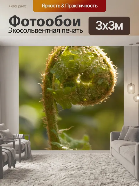 Фотообои Папоротник