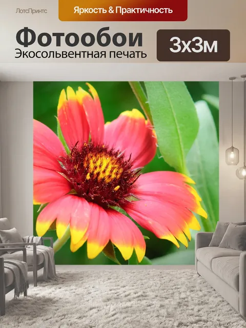 Фотообои Цветок