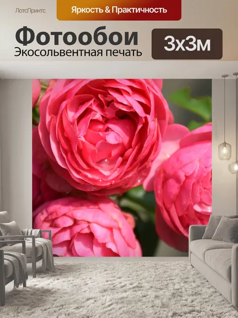 Фотообои Розы
