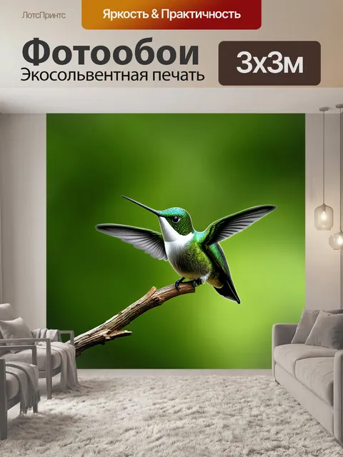 Фотообои изображение зеленого колибри