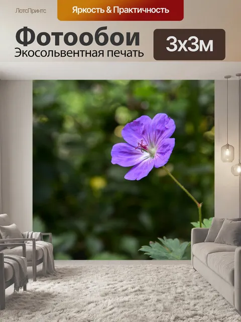 Фотообои Фиолетовый