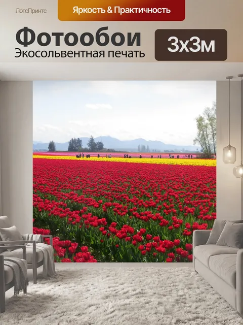 Фотообои Поле тюльпанов